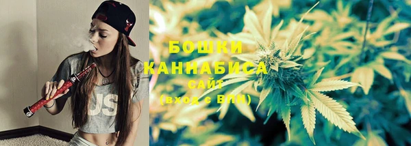 бутират Лагань