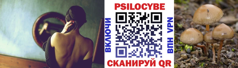 Псилоцибиновые грибы Psilocybine cubensis  Купить где  Котельники 
